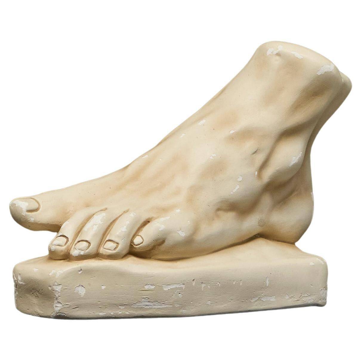 Anatomical study of a plaster foot from the 1950s.
