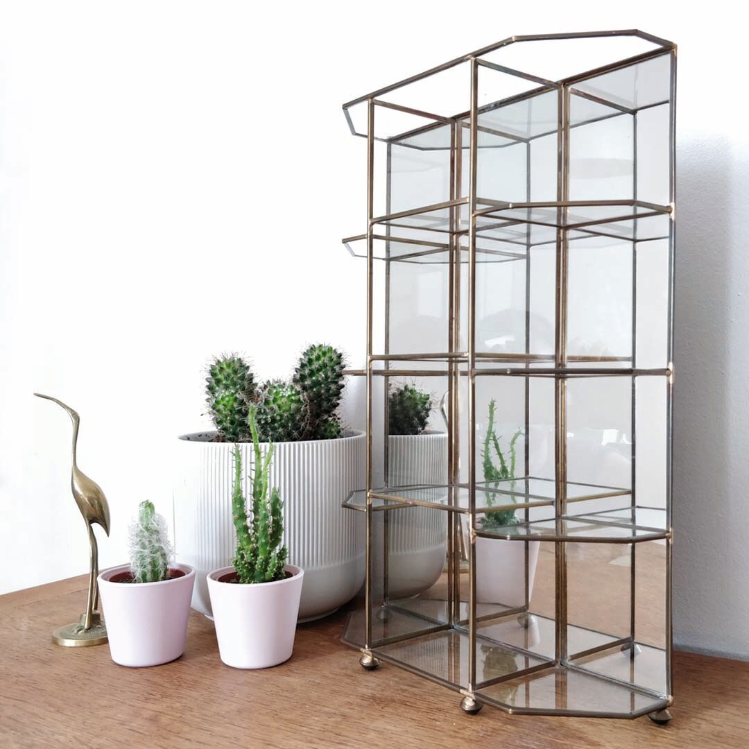 Glass and brass showcase
