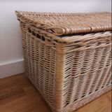 Wicker trunk