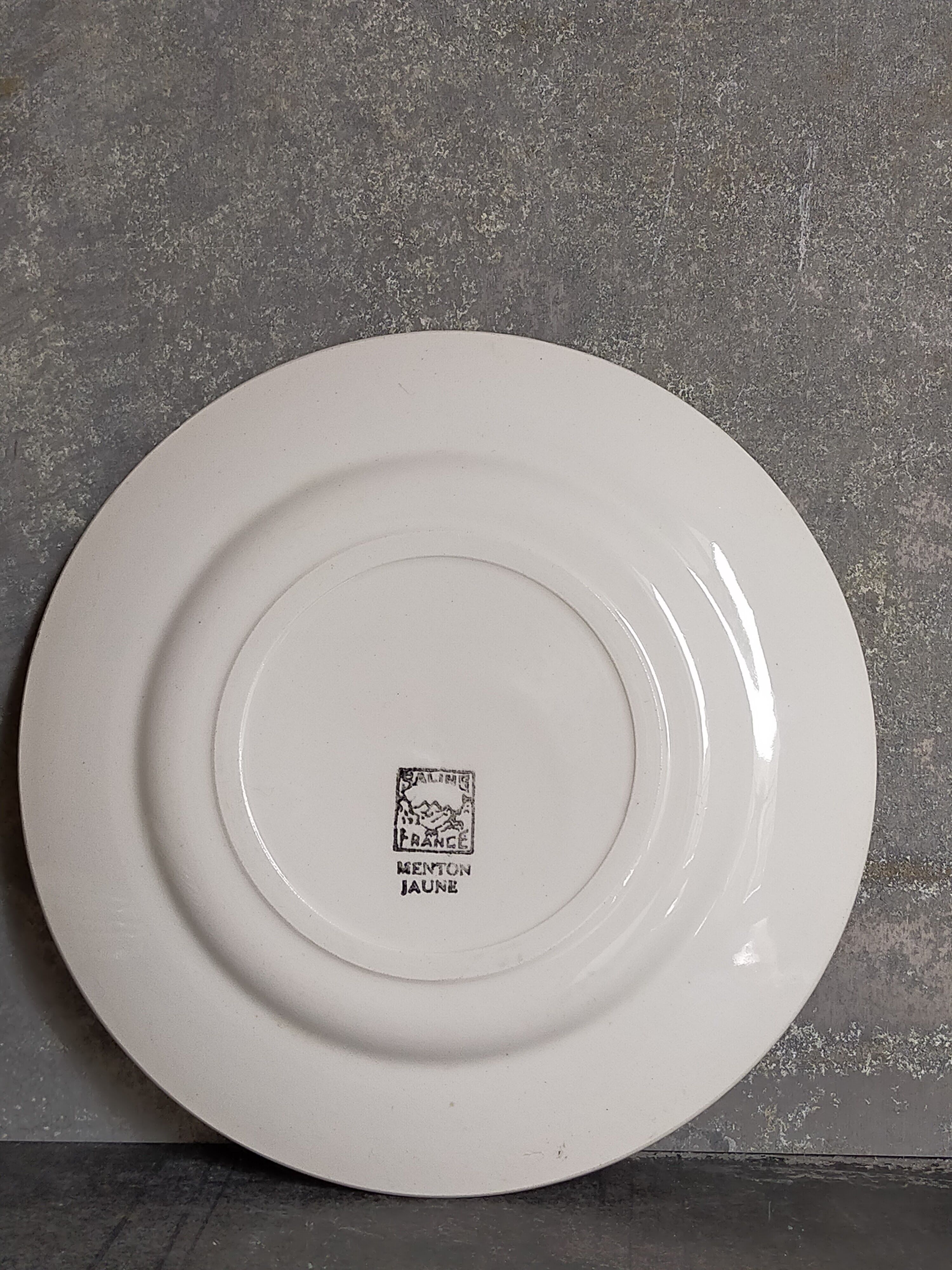 Eight dessert plates from Salins service "Menton" 50s