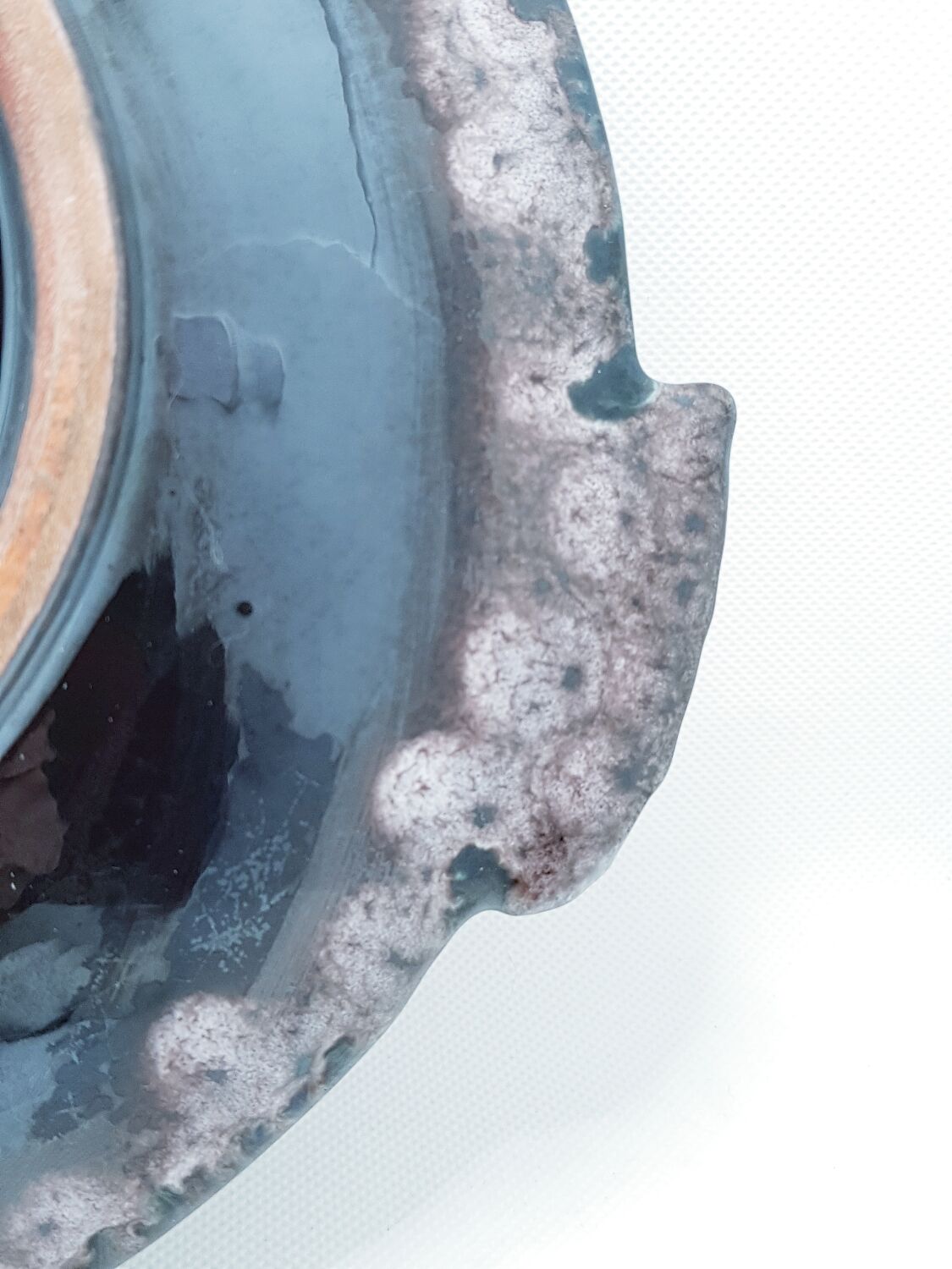 Plateau de poissons Marius Giuge