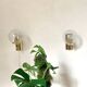 Pair of brass and glass wall sconces