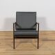 Model 300-139 Armchairs from Swarzędz Furniture Factory, Poland, 1960s, Set