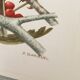 Lot de 4 lithographies naturalistes Oiseaux 17,5 x 21,5cm
