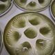 6 oyster/shellfish plates from Moulin des Loups in very good condition.