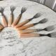 Set of 12 dessert forks in Bakelite 60s-70s