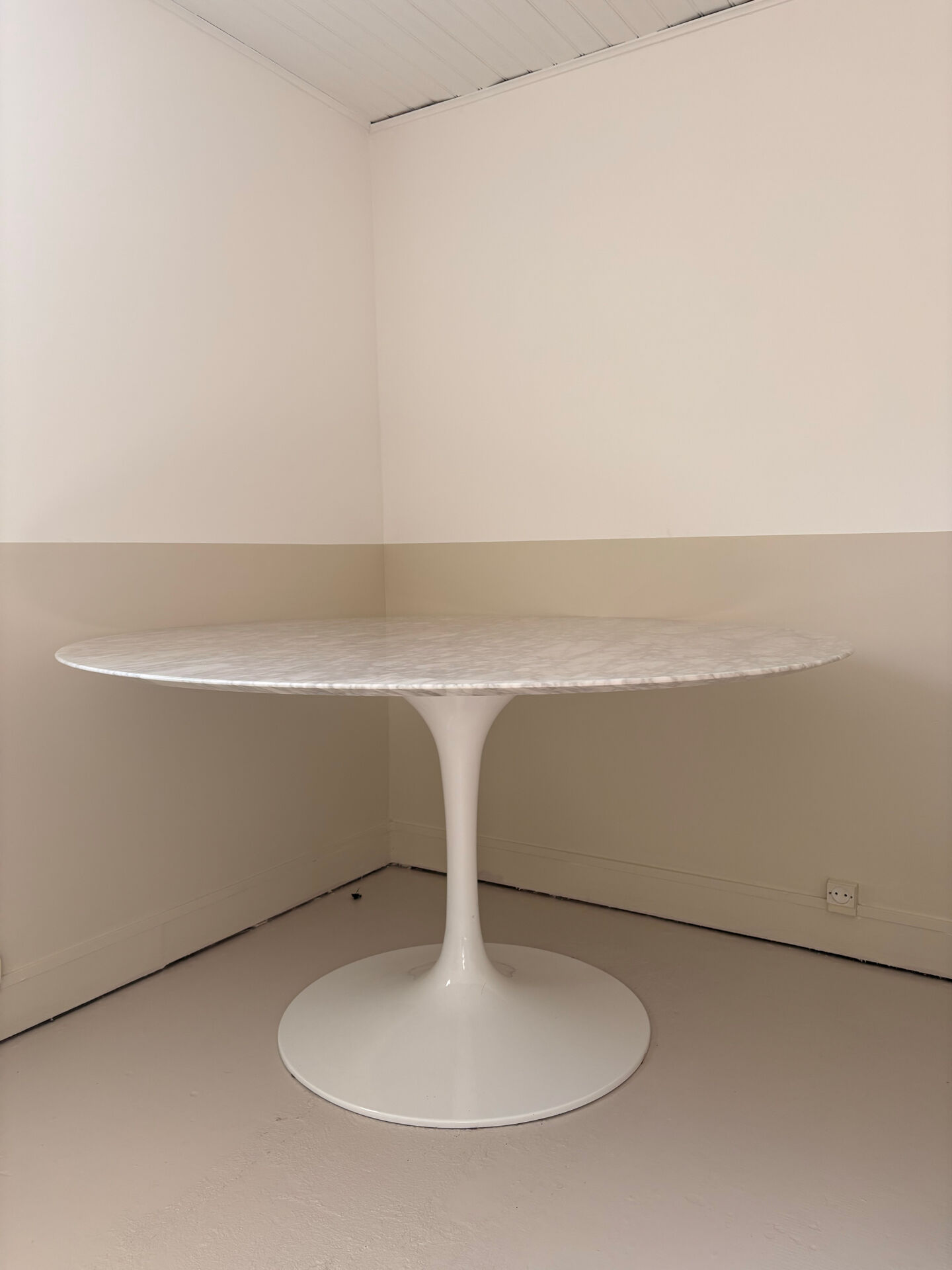Table Tulip