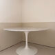Table Tulip