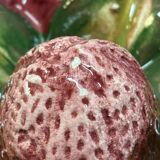 Plat en barbotine fraises