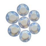 Set of seven hollow plates in iron earth