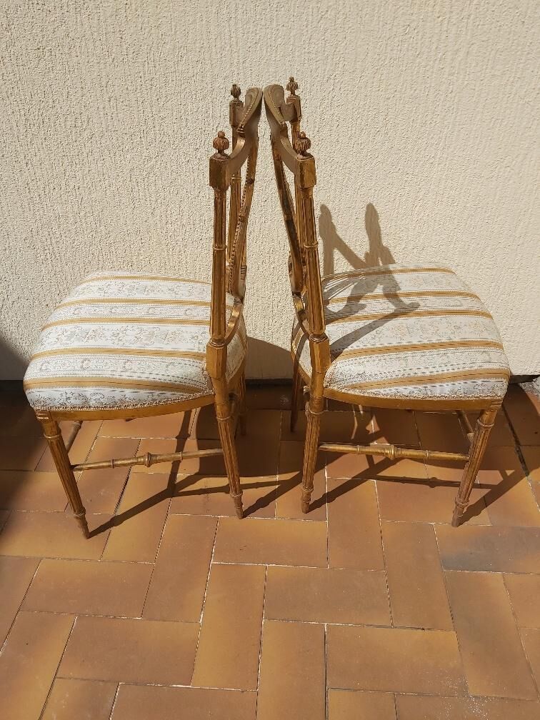 Pair of chairs with a golden lyre