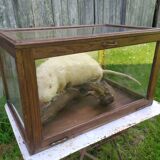 Old display case