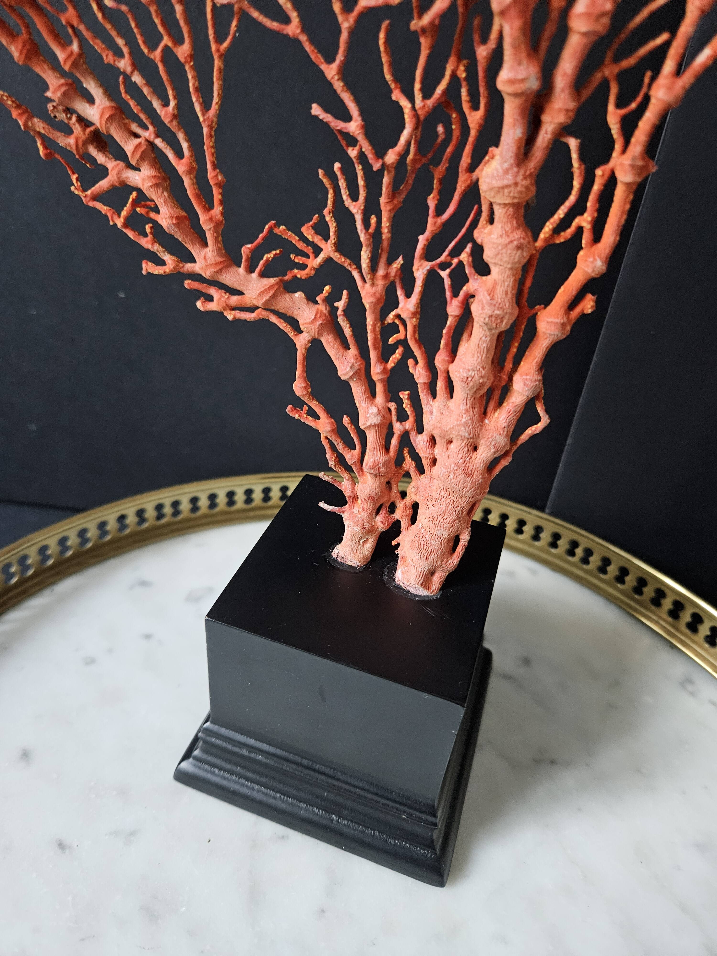 Gorgone Rouge XXL Wooden Base. H: 47 cm | Decorative Object l PlaceOdd