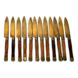 Lot de 12 couteaux à - fromage