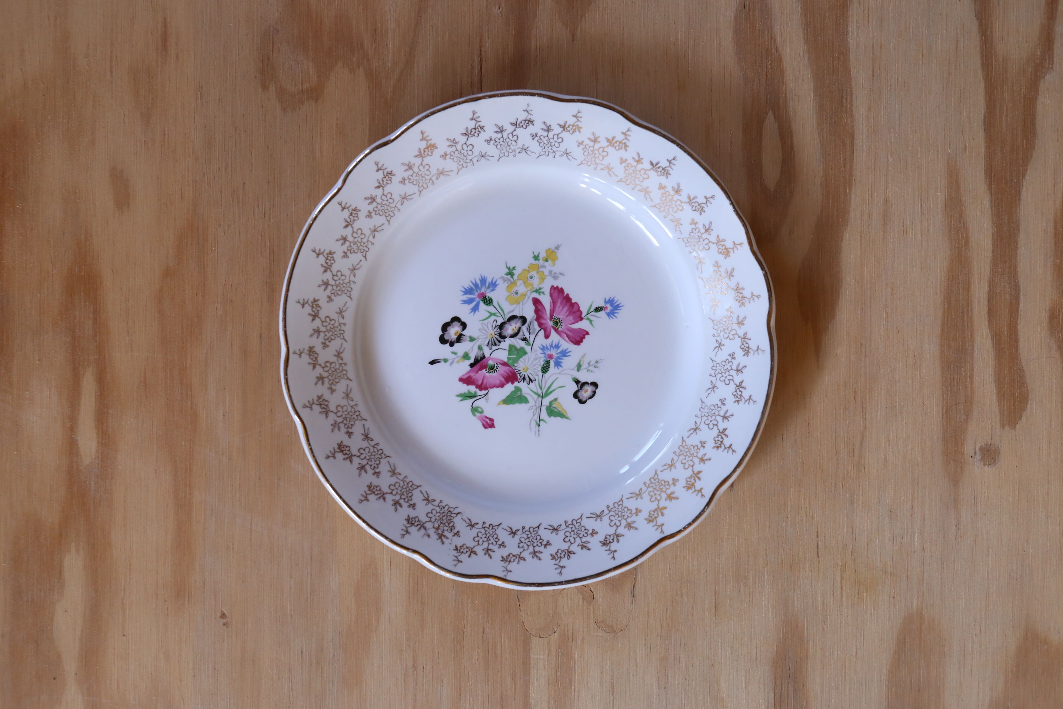 Service of 10 plates Digoin & Sarreguemine