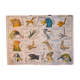 MDI school map birds and batracians