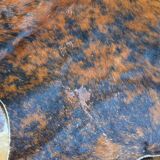 Genuine cowhide carpet