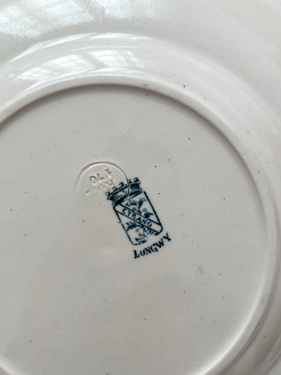 5 old flat ironstone plates “Cyrano” Longwy
