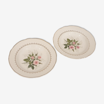 2 Luneville Badonviller porcelain hollow plates