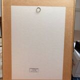 Old Print Engraving 19th Century Study of an Ear Sketch After Raphael Pasquier