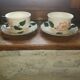 Villeroy & Boch cup duo "Wild rose"