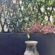 Large ceramic vase - Signed Delmotte - 30 cm - Excellent condition