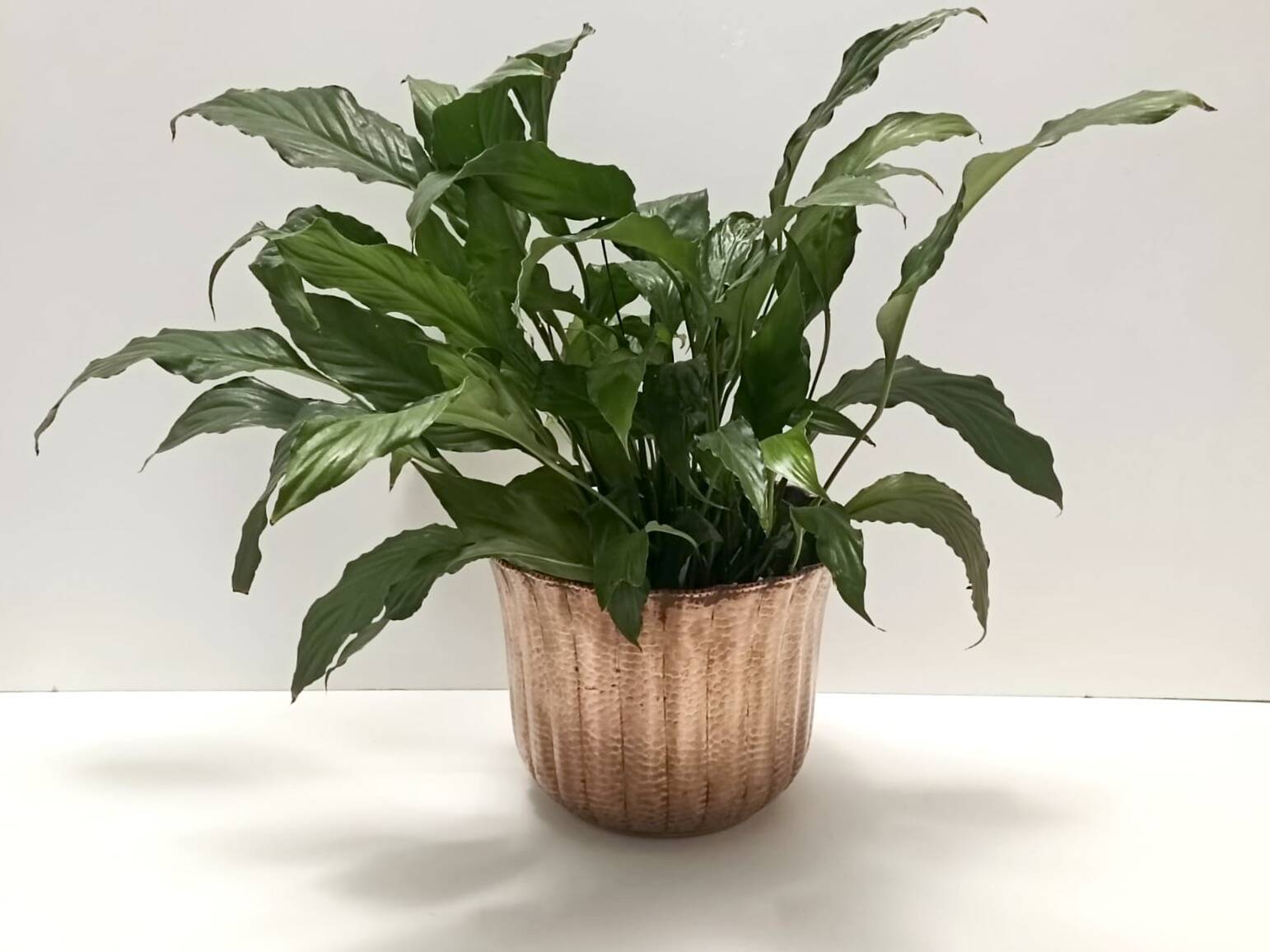 Round Embossed Copper Cachepot / Vase in the style of Egidio Casagrande