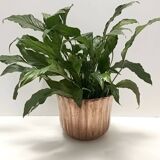 Cache-pot / vase rond en cuivre gaufré dans le style d'Egidio Casagrande