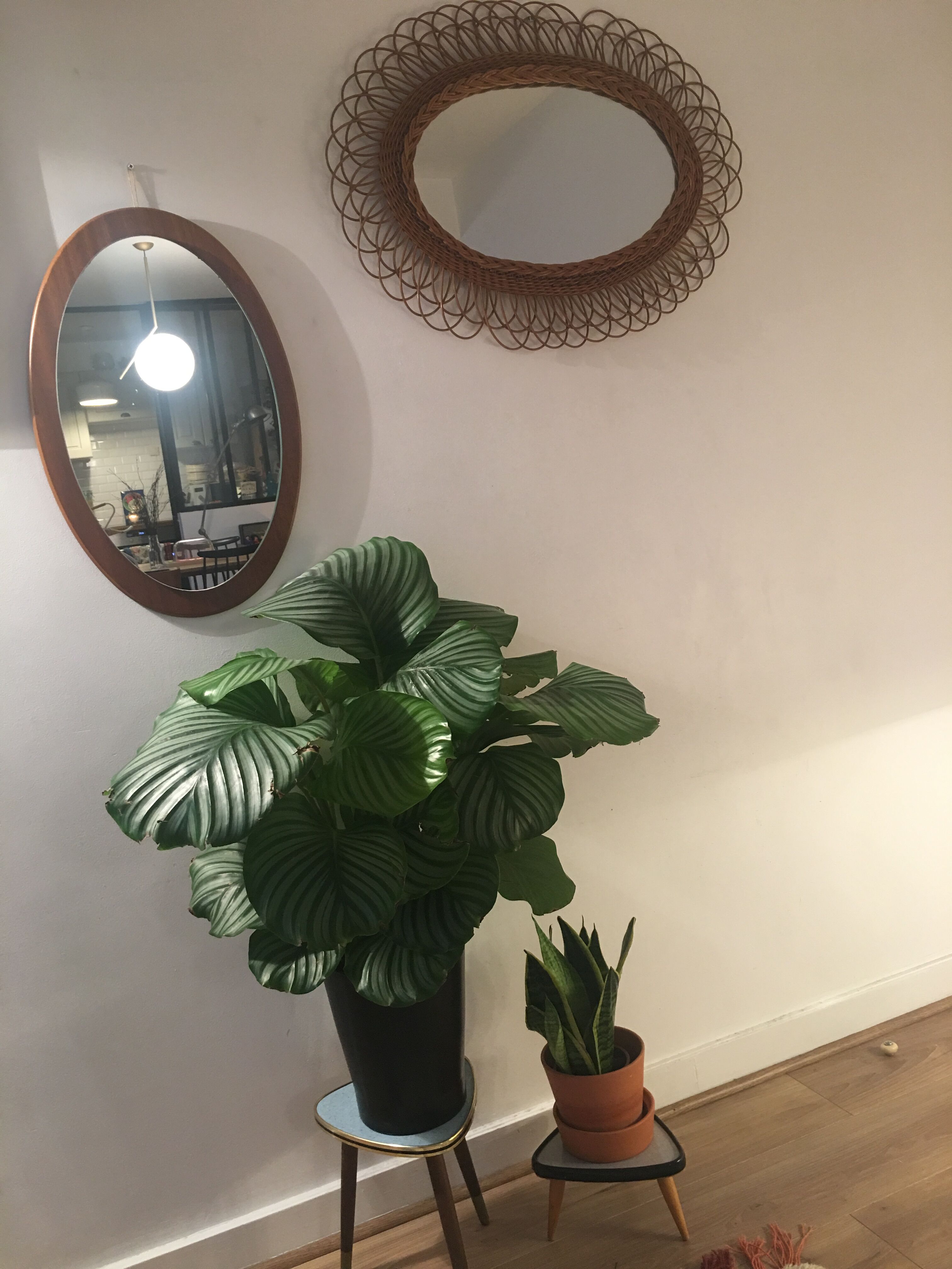 Mirror Scandinavian teak oval 36x57cm