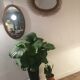 Mirror Scandinavian teak oval 36x57cm