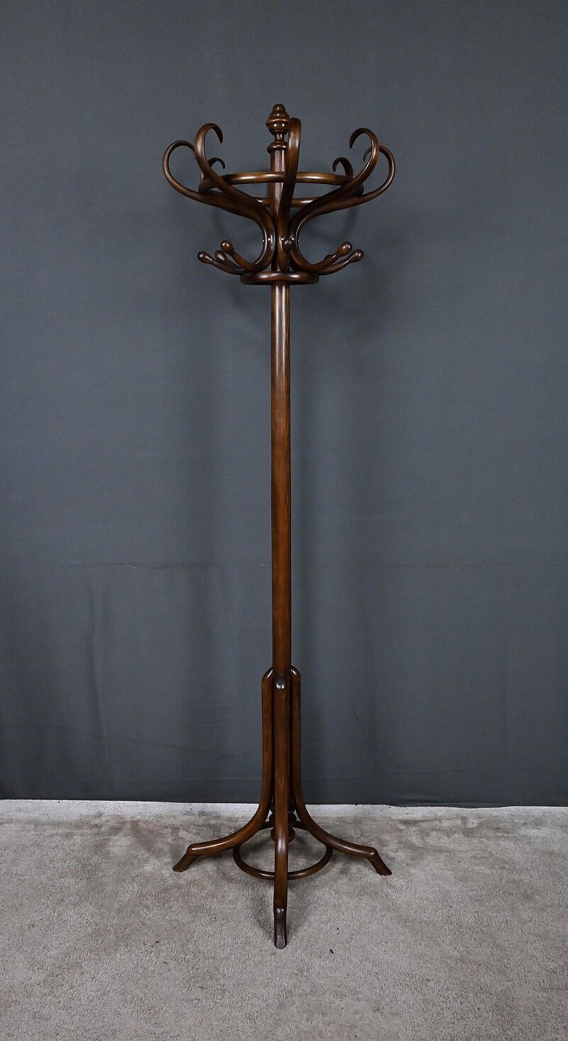 Beech coat rack parrot – early 20th century