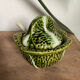 Slurry gravy boat with its spoon
