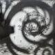 Black and white silver photography early twentieth century