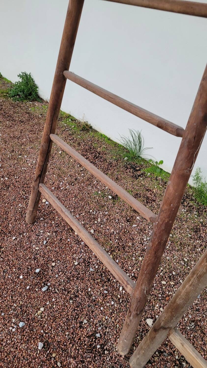 Double ladder for market gardening, fruit harvest, old wooden picking - 3m65