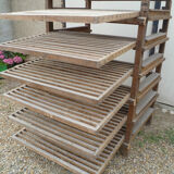 Vegetable fruit in PEAR and chestnut wood