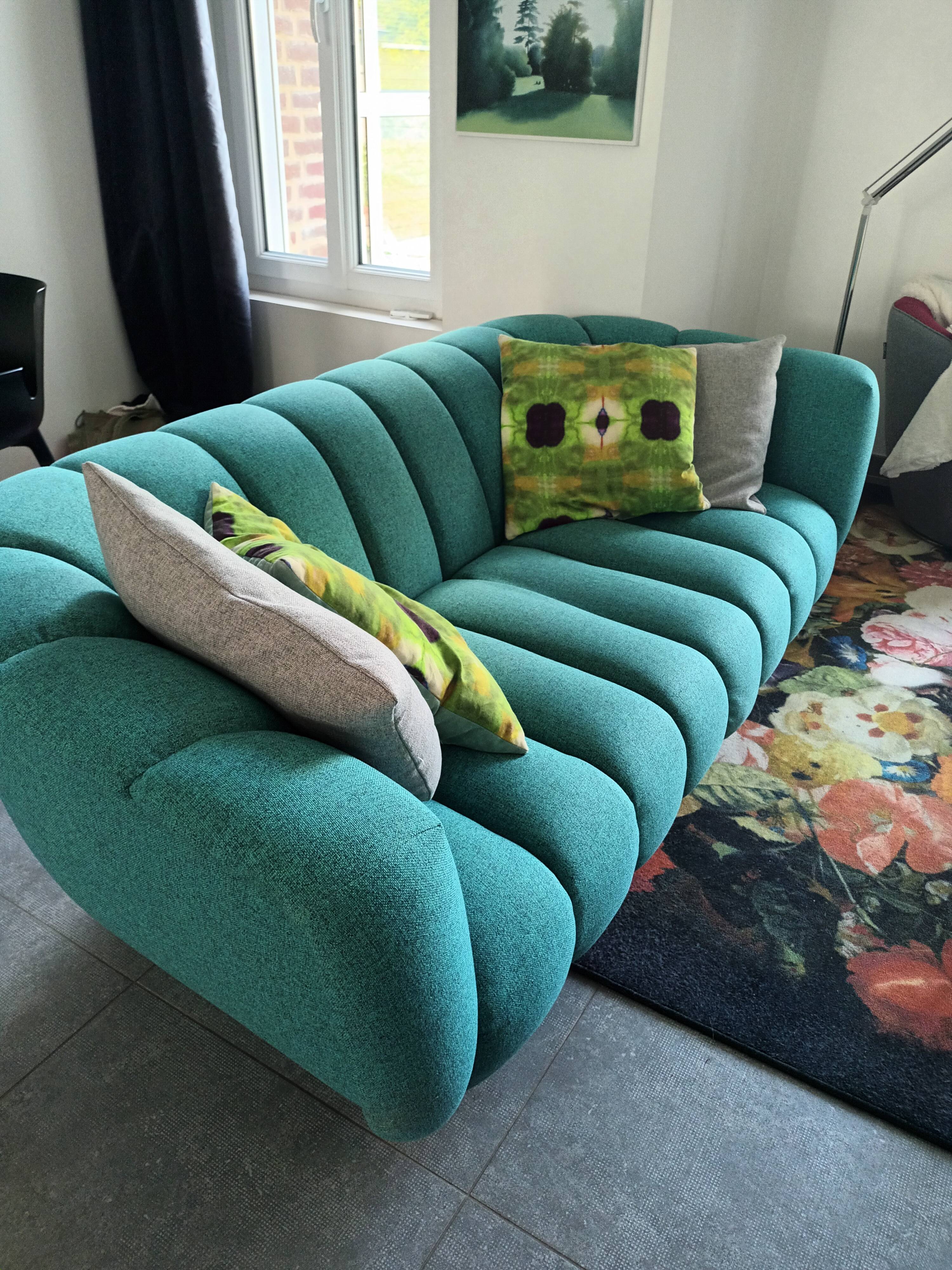 Set of 2 sofas and 2 poufs by Roche Bobois.