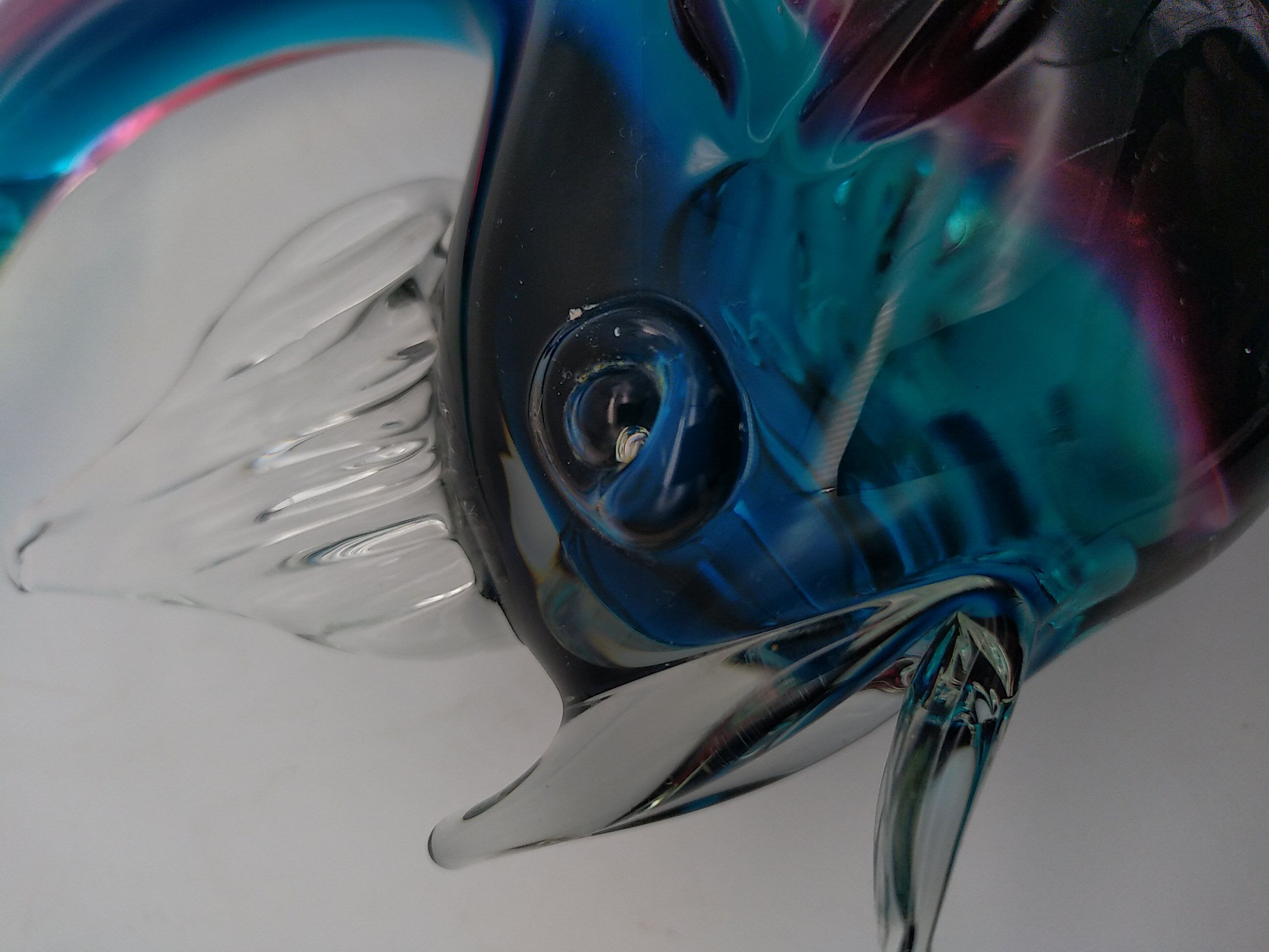 Glass fish