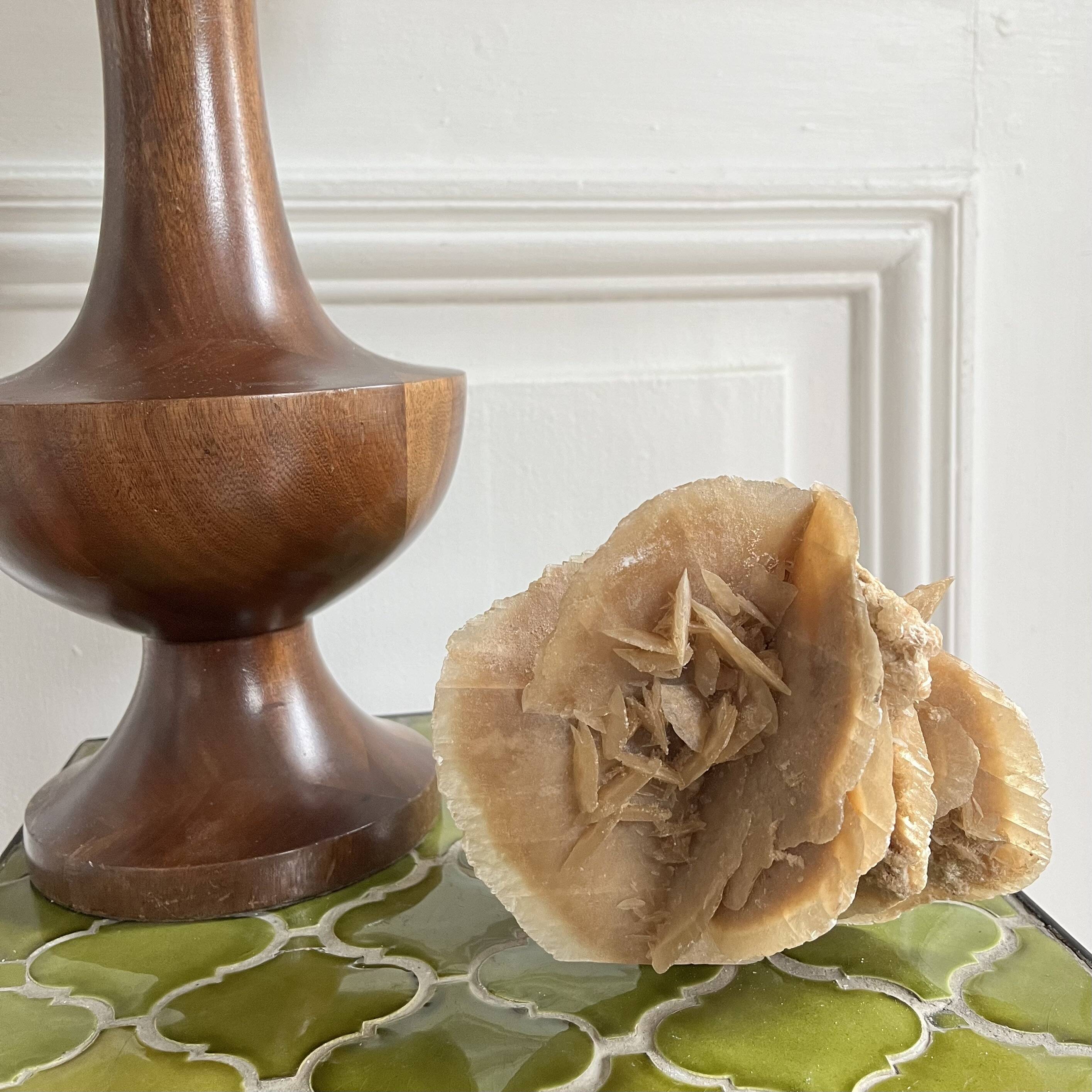 Large size sand rose