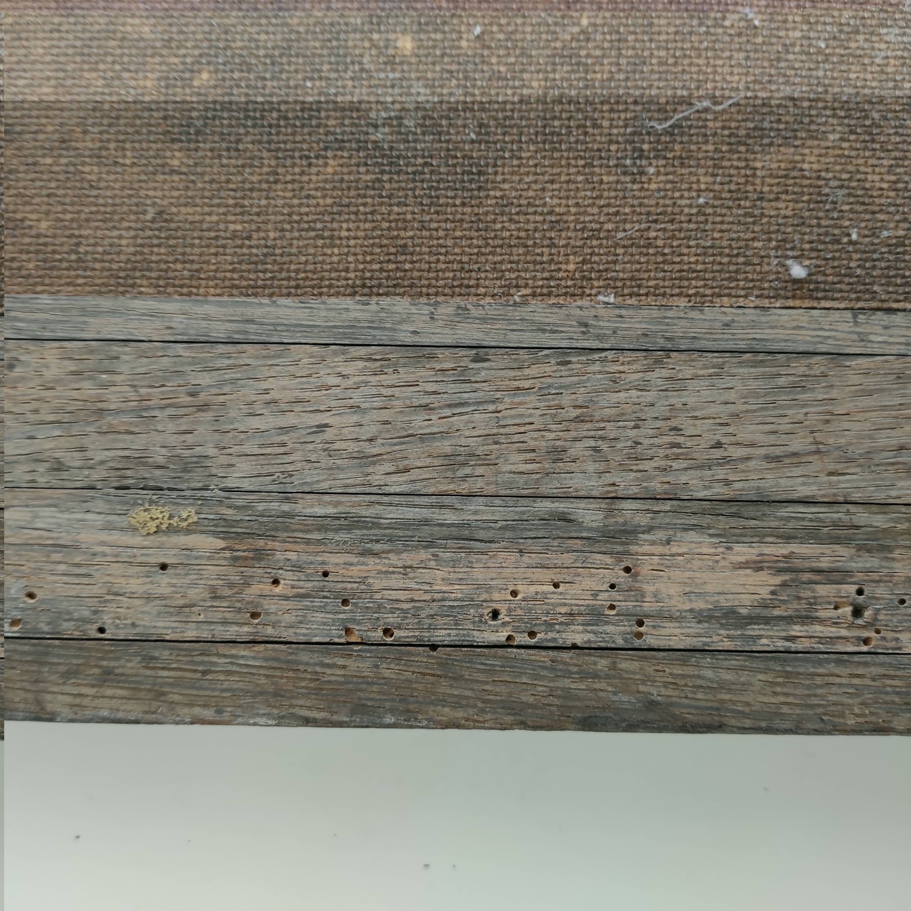 Framed painting painted on unsigned Iborel