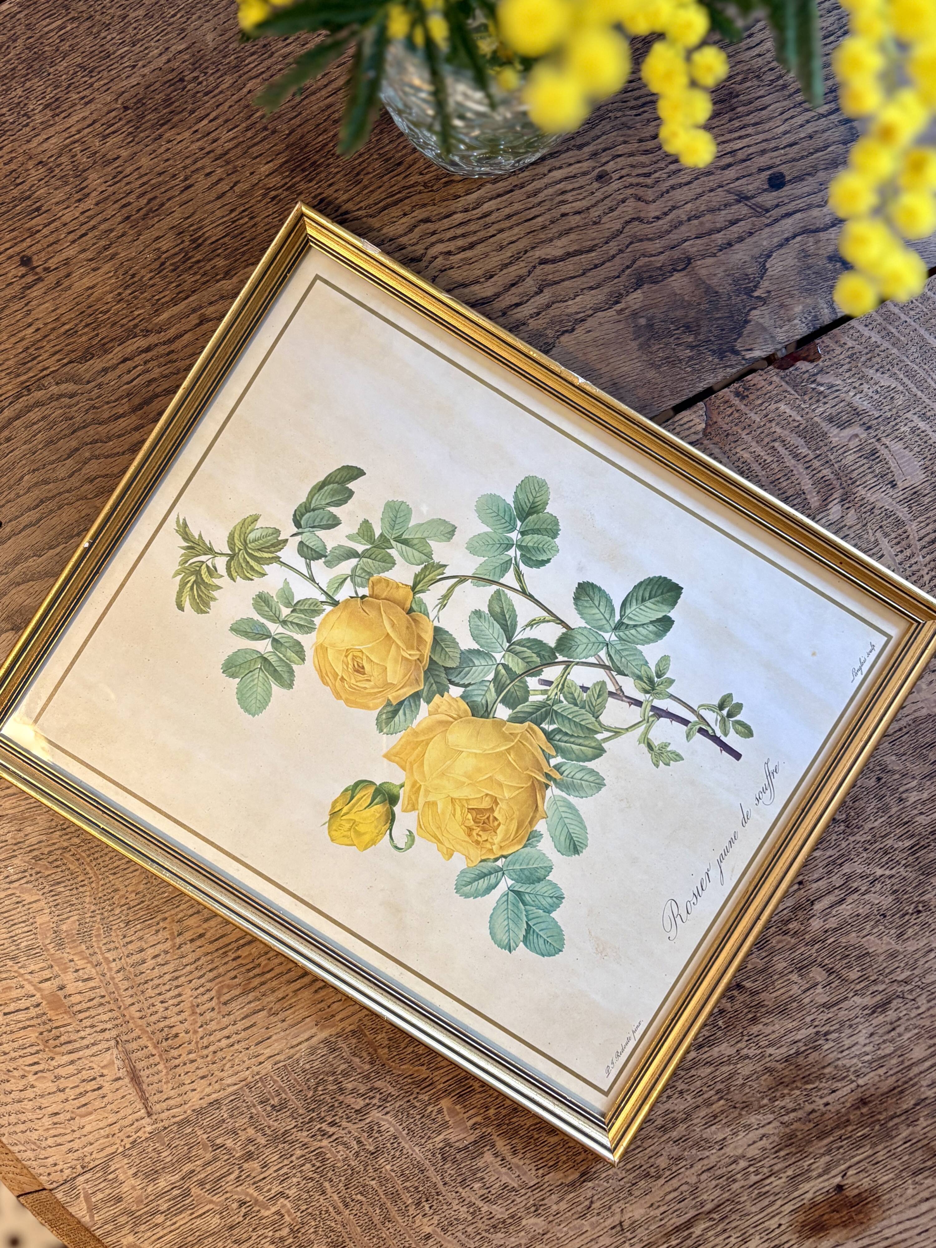 Old frame pink yellow Dreaded