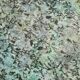 5x8 plants style vintage rug, 148x243cm
