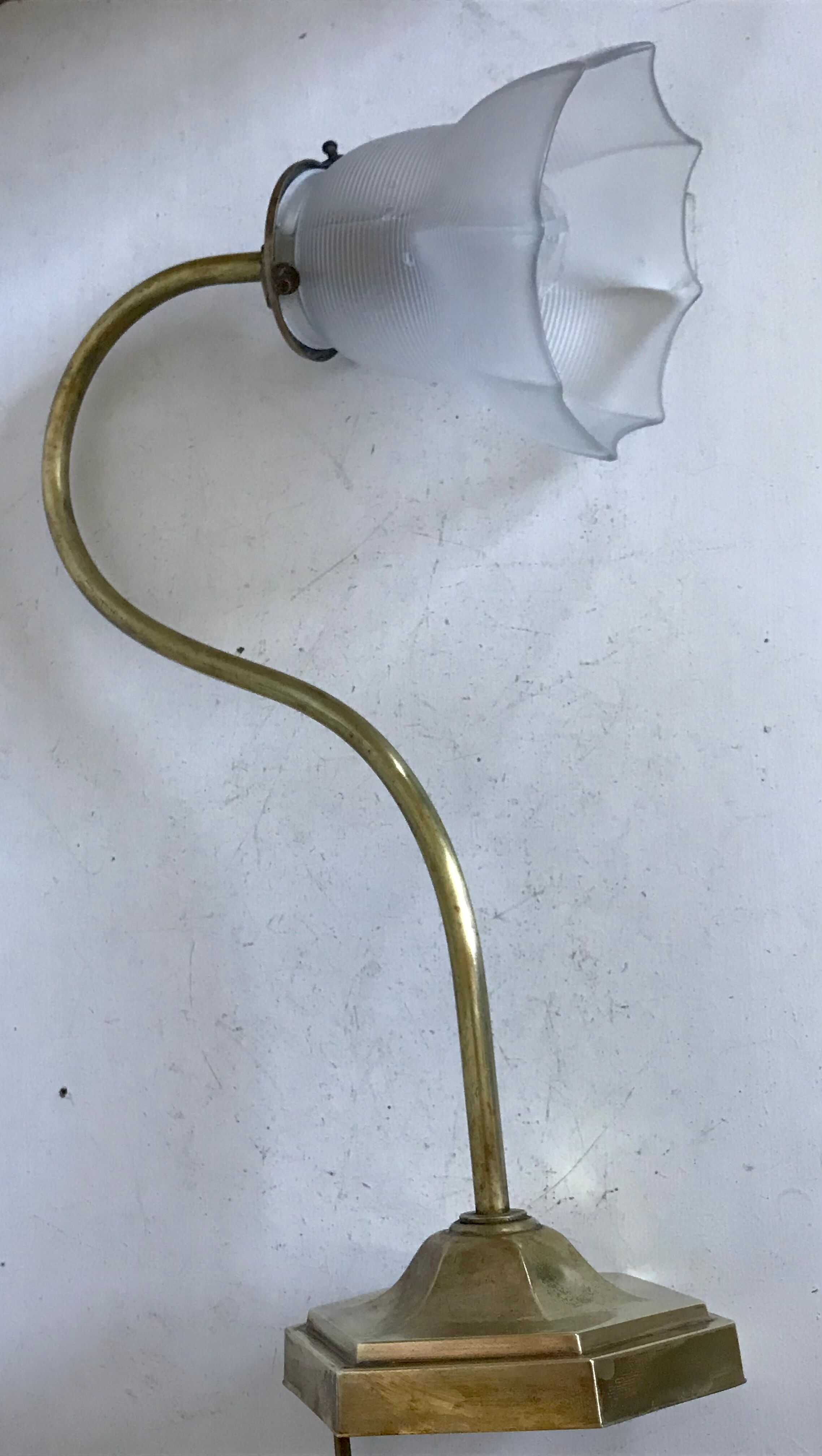 Brass gooseneck lamp