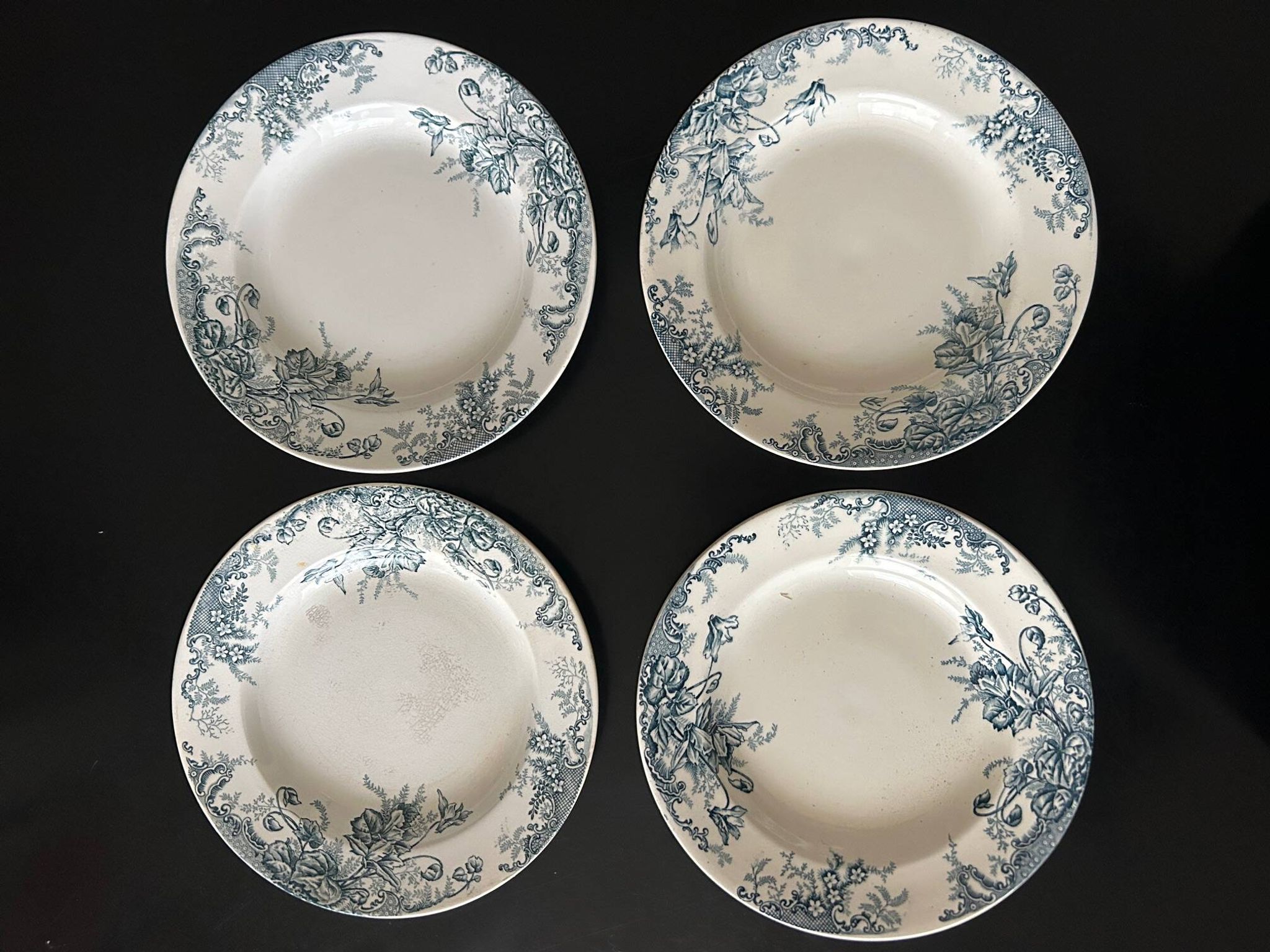 13 deep plates Terre de fer Cyclamens Louis Graves