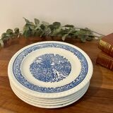 Set of 6 dessert plates