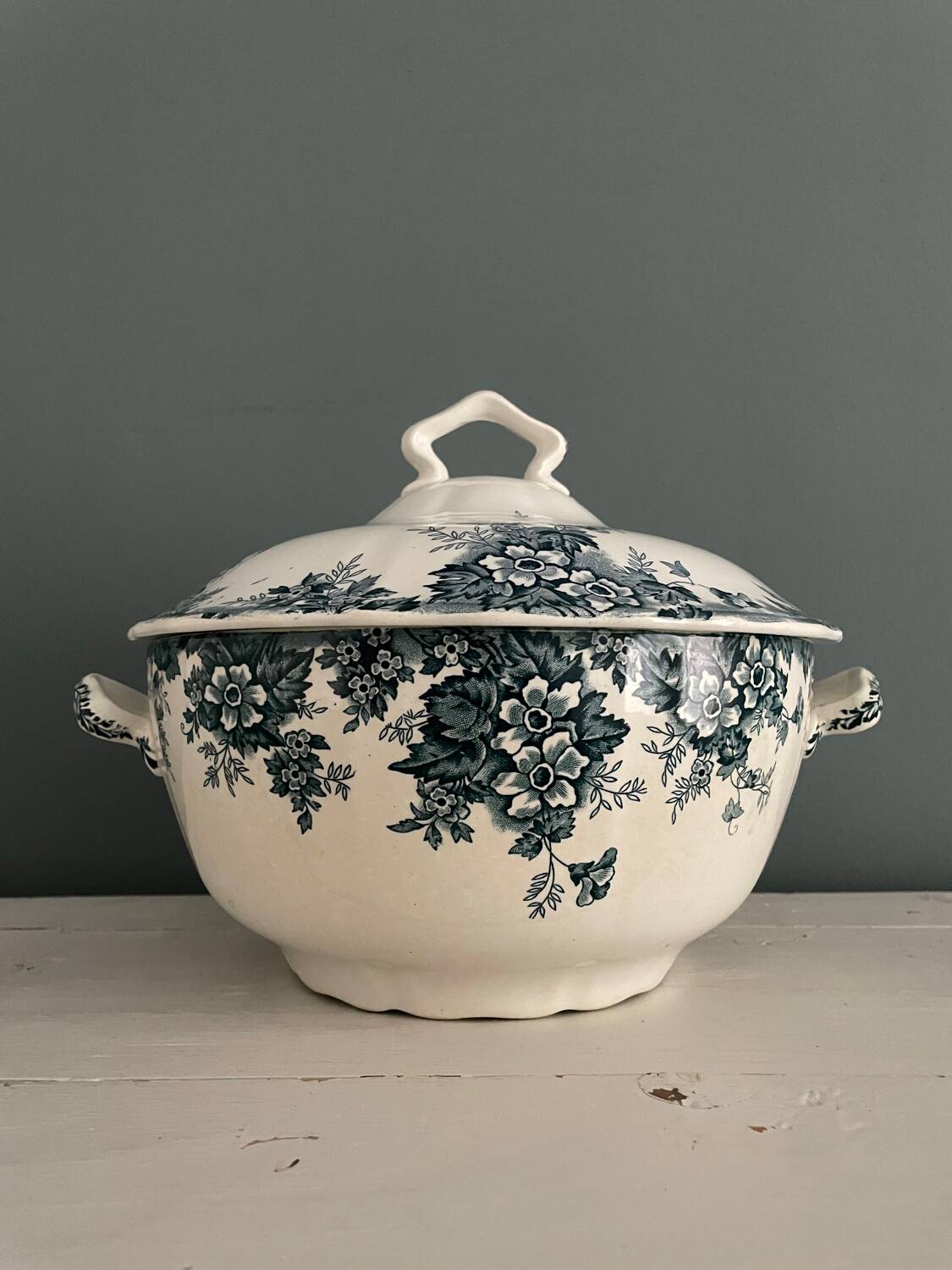 Tureen 1900 Terre de Fer “Marie-Louise” St Amand and Hamage