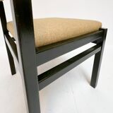 Set of 2 SA07 Pastoe chairs (2) by Cees Braakman, 1960s