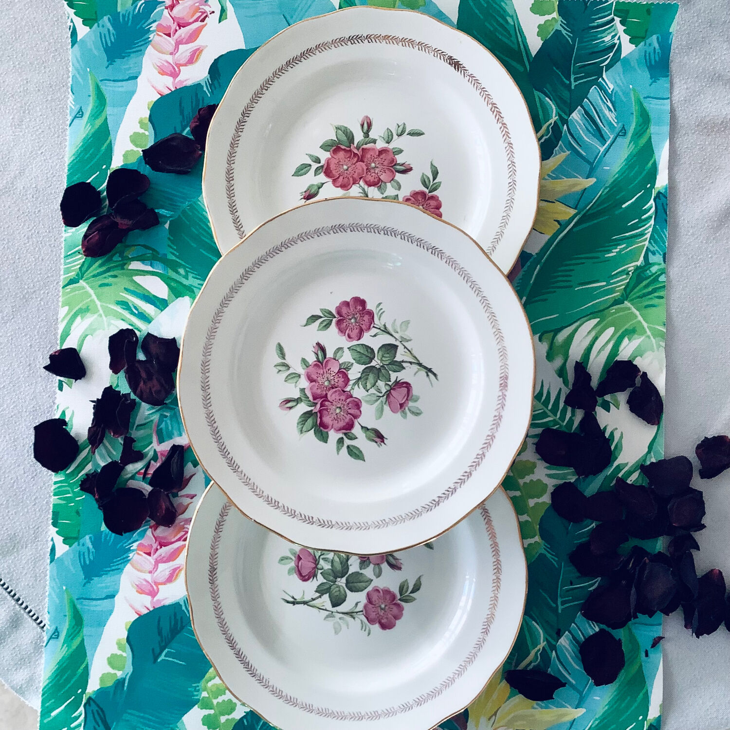 6 assiettes plates