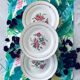 6 assiettes plates