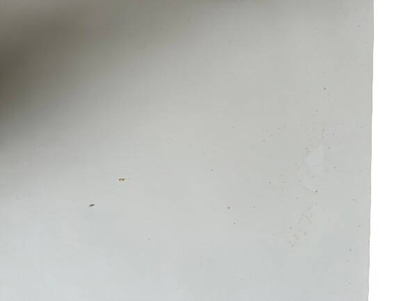 Reproduction of an engraving signed Piranesi F.