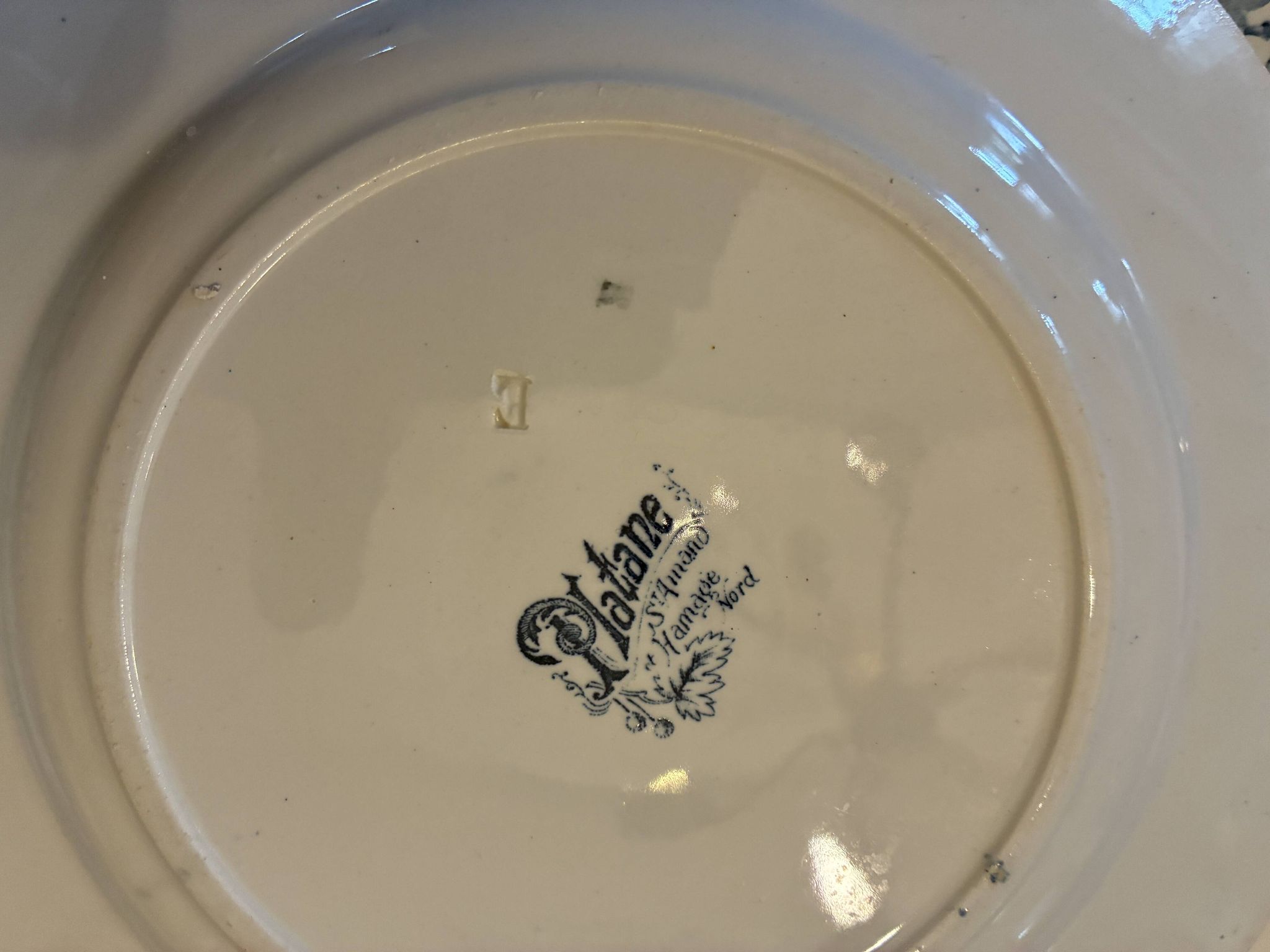 Lot de 5 assiettes plates Saint Amand Terre de Fer